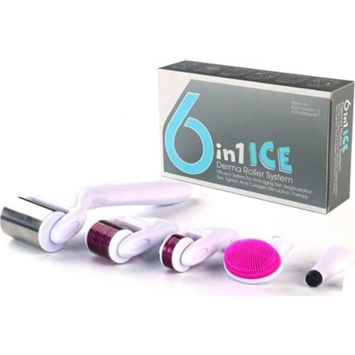 Hot Sale 6 in 1 DRS Derma Roller Kit 12/300/720 Titanium Microneedle Dermarroler With Ice Roller