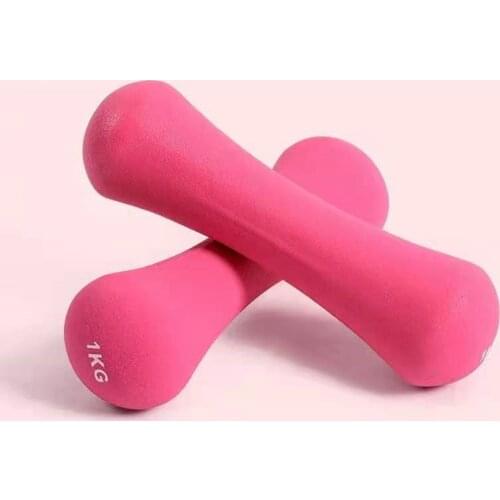 1kg/1.5kg Dip dumbbell ladies home thin arm fitness equipment A pair of 2