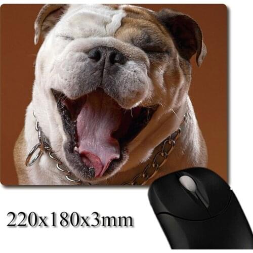 Funny sneezing English Bulldog CG printed Heavy weaving anti-slip rubber pad office mouse pad Coaster Party favor 220x180x3mm