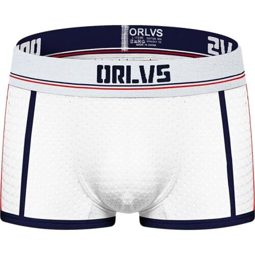 2020 ORLVS Brand New designed Brand Men Underwear Briefs Slip Mesh Shorts Cueca Gay men sexy Male panties Breathable OR193