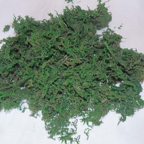 15g/lot Naturel Dried Moss Lichen Home Decoration Really Plants Photography Epoxy Resin Candle Craft Accessories Garden Party