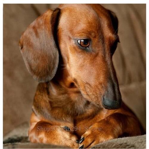 Dachshund Dog pattern diamond painting rhinestones full square round drill diamond embroidery mosaic cute puppy art FF1723