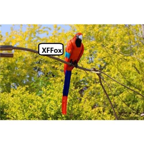 Big real life turned parrot model foam&feather orange-red&blue parrot bird gift about 60cm xf2627