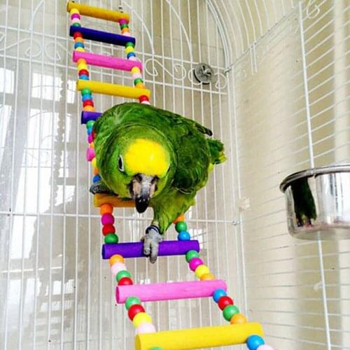Cute 10pcs/set Parrot Birds Toy Kit Swing Hanging Bells Bridge Hammock Chewing Toys Standing Training Combination Pet Tool Toys
