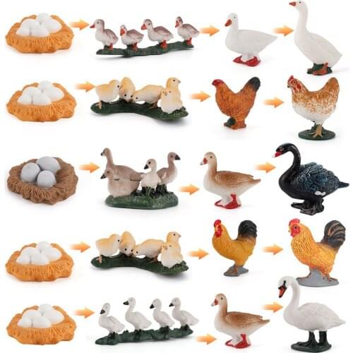 Montessori Insect Growth Cycle Life Stimulation Animal Educational Spider Action Figures Teaching Materials Toys for Children