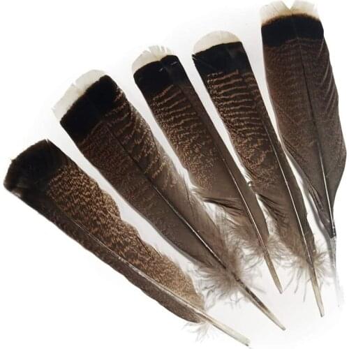 10pcs/lot Natural Eagle Bird Pheasant Feathers for Crafts Diy Dream Catcher Jewelry Making Decoration Accessories Plumes 25-30cm
