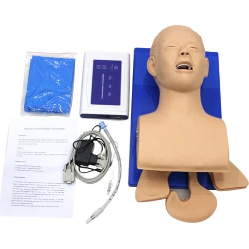 Intubation Manikin Study Teaching Model Airway Management Trainer PVC With Teeth