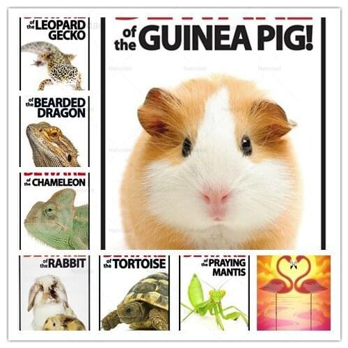 Vintage Little Animal Tin Metal Signs Retro Mouse Chameleon Metal Poster Iron Painting Farmhouse Chicken House Home Wall Decor