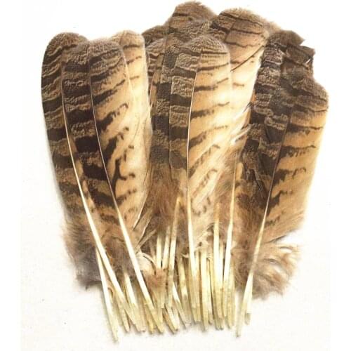 10pcs/Lot Rare Owl Eagle Feather 10-12"/25-30cm Eagle Feathers for Crafts Carnaval Assesoires Wedding Feathers Decoration plumas