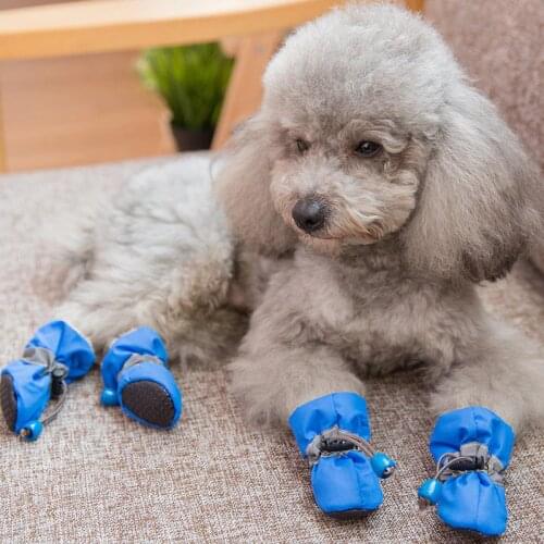 4pcs Anti Slip Dog Shoes Spring Pet Dog Boots for Dogs Footwear Pet Puppy Booties Socks Pet Supplies 1c30