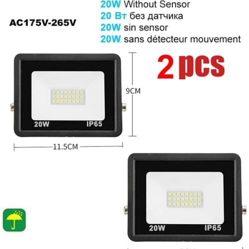 2 pcs 220V 10-100W LED FloodLight Spotlight Exterior Street wall reflector Lights LED Motion Sensor Lightler Waterproof Security
