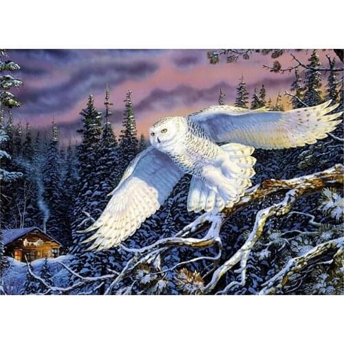 5D Diy Diamond Painting Cross Stitch Full Drill Flying White Owl Diamond Embroidery Diamond Mosaic Rhinestone Home Decoration