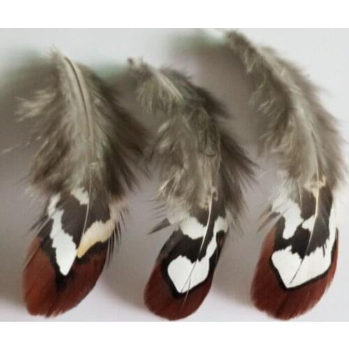 New! Batch quality 20 pc quality Golden pheasant feathers, 2-3inches / 5-8cm, DIY decorative handicrafts