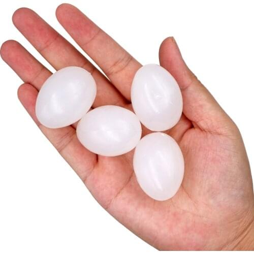 10Pcs Fake Eggs Plastic Pigeon Egg Solid Pigeon Fake Egg Pigeon Hatching Supplies