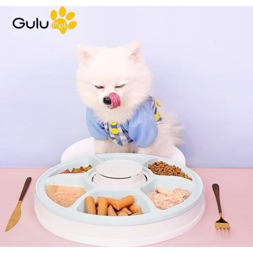 Automatic Timing Pet Electric Feeder 6 Bowl Grids Music Reminder Anti-Skid Bottom Dog Cat Rabbits Feeding Drinking Supplies