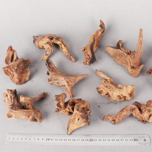 10/20CM Coral wood Climber Reptile Lizard Cork Pet Decoration Drift Wood Fish Tank Driftwood Natural Tree