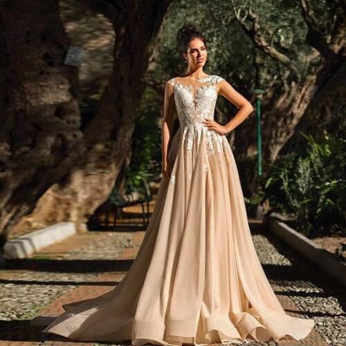 Vintage Champagne Lace Bride Dresses 2021 A Line Appliqués Tulle Prom Party Gown Wedding Dresses Plus Size