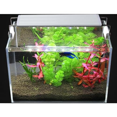 7 Kinds Of Length 20 40 60 CM Aquarium LED Lighting LED Fish Tank Slim Aquatic Plant Light Fit For Aquarium Fish Tank Light
