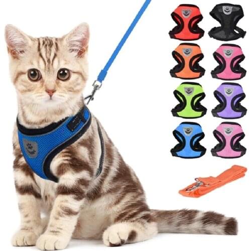 Шлейки Zookanie China At AliExpress