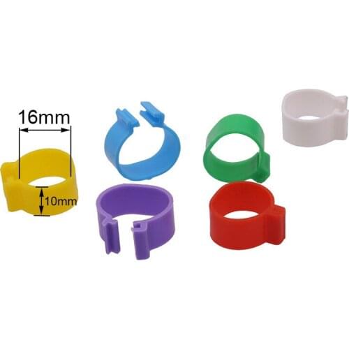No Words Poultry Foot Ring Bird Pigeon Chicken Signage 16mm Inner Diameter Carrying Mark Ring Farm Animal Carriers 100 Pcs
