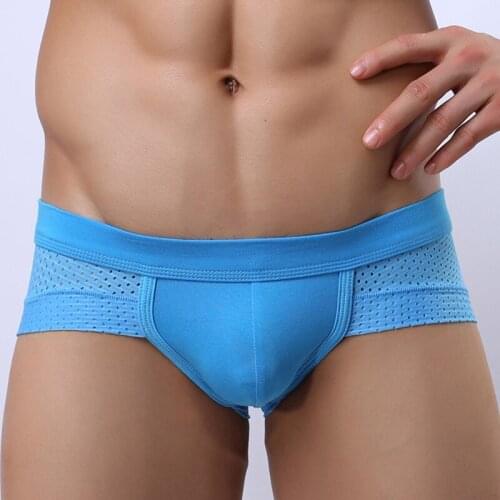 Male Sexy Underwear Mens Ice Silk Mesh Briefs Gay Nylon Penis U Pouch Men Bikini Brief Low Rise Panties Man Underpants