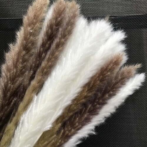 Flower Ear 15~30CM,Total in 45~50CM/10PCS Real Small Pampas Grass Home Decor,Dried Trawa Pampasowa Natural Bulrush for Wedding