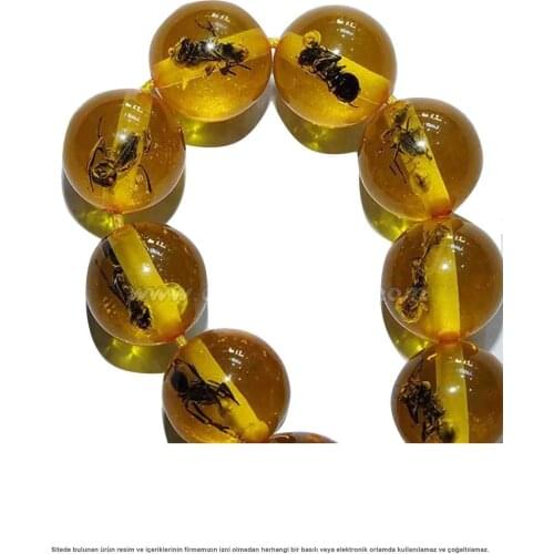 Genuine Ant of the Fossiliferous Powder Amber Rosary Midyat Silver