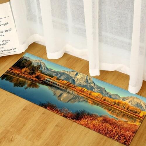 3D Scenic Printed Home Decor Mats Washable Kitchen Carpet Pastoral Pattern Living Room Rugs Washable Anti Slip Bath Mat Doormat