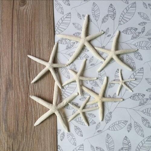HappyKiss 10pcs 6-10cm White Starfish Real White Finger Star fish Drapery Hold Great for weddings or party asymmetry party