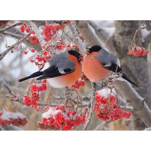 3D Diamond Painting Cross Stitch Two Birds On Tree Crystal Needlework Diamond Embroidery Animals Full Diamond Decorative