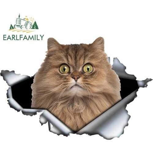 EARLFAMILY 13cm x 8.8cm For Cat Motorcycle Car Stickers Car Accessories Decal Laptop Scratch-proof Waterproof Decoration