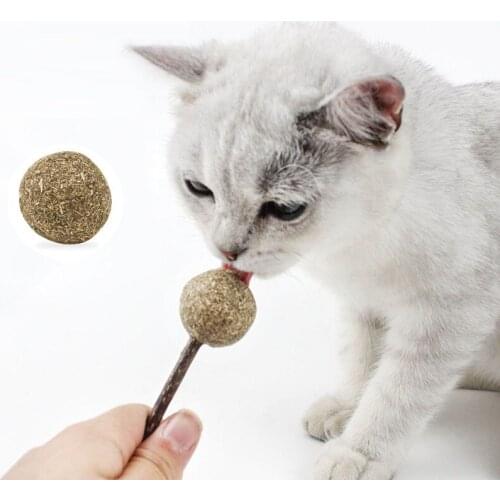Puppy Toys Pure Natural Catnip Pet Cat Toy Molar Toothpaste Branch Cleaning Teeth Silvervine Cat Snacks Sticks Pet Supplies