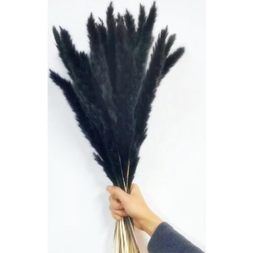 15Pcs Dried Natural Flowers Pampas Grass Fiori Secchi Reed Phragmites Plants Bouquet For Wedding Party Home Table Decoration