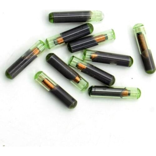 30pcs/lot ID48 auto transponder chip ID 48 Car Key Chip 48 glass