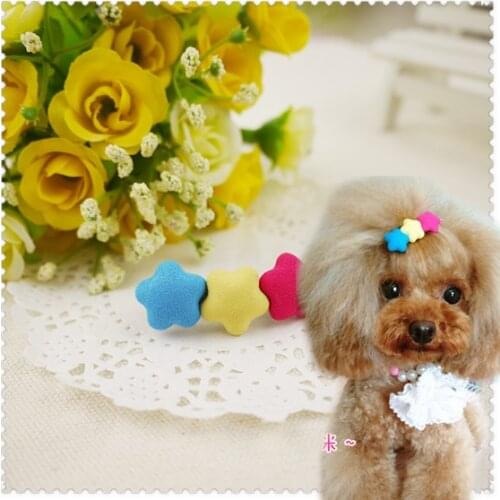 Shining star pet Teddy VIP dog pet dog accessories Yorkshire capitatum 50pcs