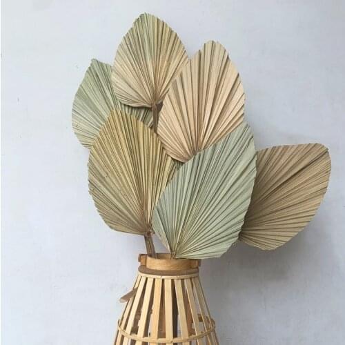 Zq INS Nordic Style Home Soft Furnishings Dried Bouquet Fan Chinese Fan Palm Palm Leaf Reed