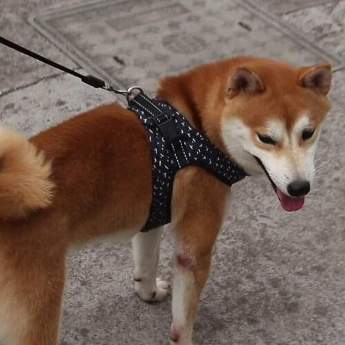 New Dog Durable Adjustable Harness Pet Dog Walk Out Harness Vest for Small Medium Dog Chest Strap Dog Harness Pets Accessories