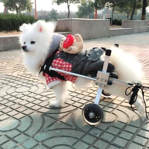 3 Size - Cart Pet/Dog/Cat Wheelchair For Handicapped S/M/L Dog\Cat\puppy\doggie Walk