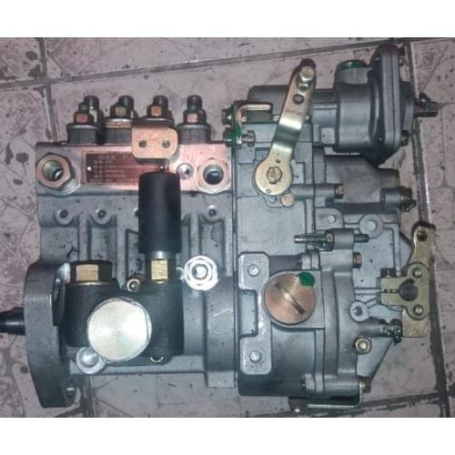 Fast shipping 4PNF F6002-1111100-493 B4PM907 B4PM907A1 B4PM907A3 injection Pump diesel engine Yuchai YC4F WATER cooled engine