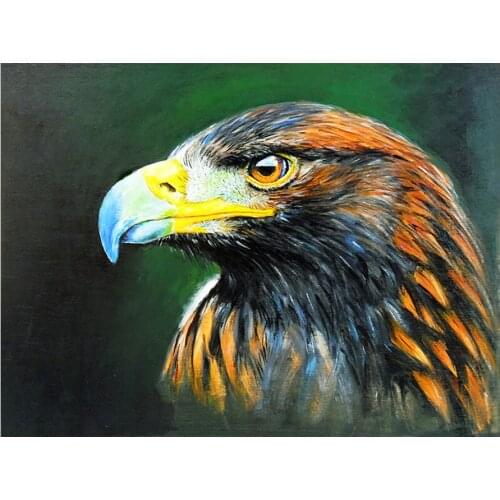 Raptor Eagle Diamond Painting Animal Round Square Full Drill Nouveaute DIY Mosaic Embroidery 5D Cross Stitch Picture