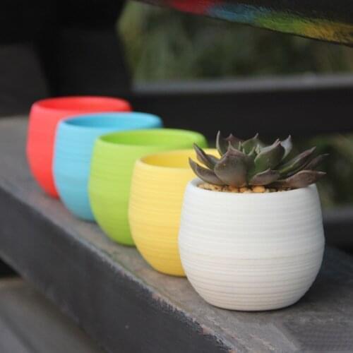 Colorful Mini Succulent Cactus Plastic Flower Pot Round Garden Flowerpot