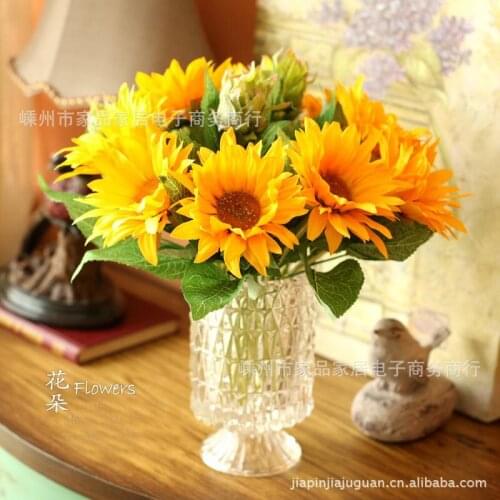 Specials! C gorgeous 32.4 yuan bright transparent glass vase hydroponic flower wholesale crafts