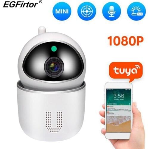 EGFirtor Mini CCTV Cameras