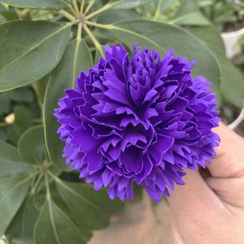 Dorali Artificial Carnations