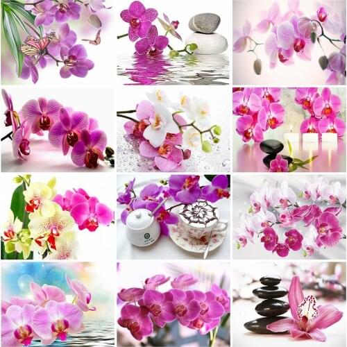 5D DIY Full Square/Round Diamond Painting Orchid Rhinestone Pictures Diamond Embroidery Flower Crafts Kit Home Decor
