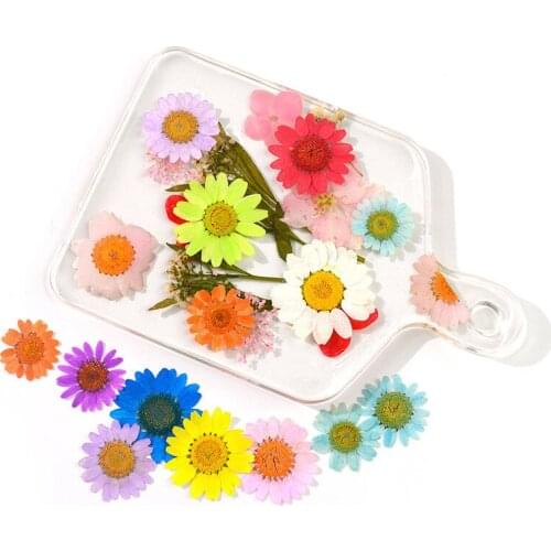 10pcs DIY Epoxy Filler Bracelet Gem Pendant Pressed Flower Dried Flower Material Dyed Sun Flower lDaisy Embossed Dried Flower