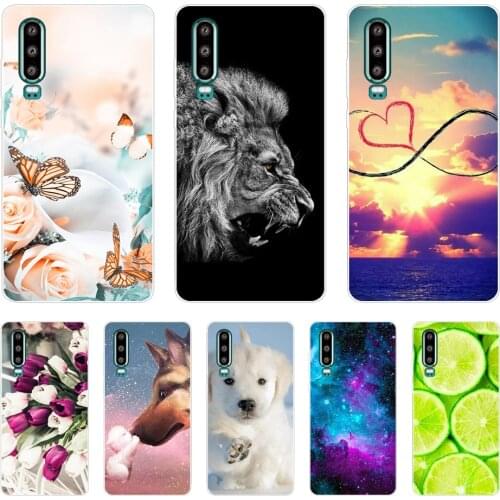 Case for Huawei P30 Pro Case Silicone TPU Phone Back Cover On for Huawei P30 Pro VOG-L29 ELE-L29 P 30 Lite coque bumper