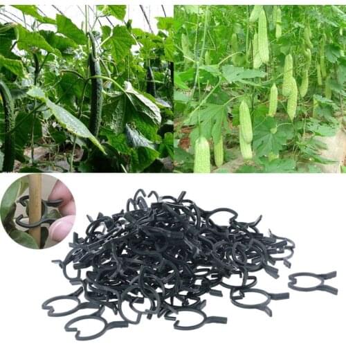 2021 New 100Pcs Plant Garden Clips Vegetable Plant Vine Support Clips for Holding Plant Stems