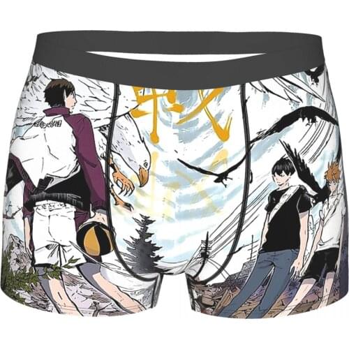 Haikyu Hinata Japanese Anime Haikyuu Aesthetic Design Underpants Cotton Panties Man Underwear Comfortable Shorts Boxer Briefs