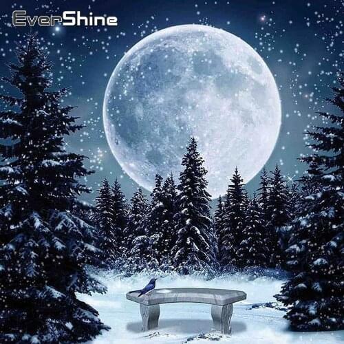 EverShine Full Drill Diamond Mosaic Landscape Needlework Diamond Painting Moon Cross Stitch Kits Bead Embroidery Wall Decor